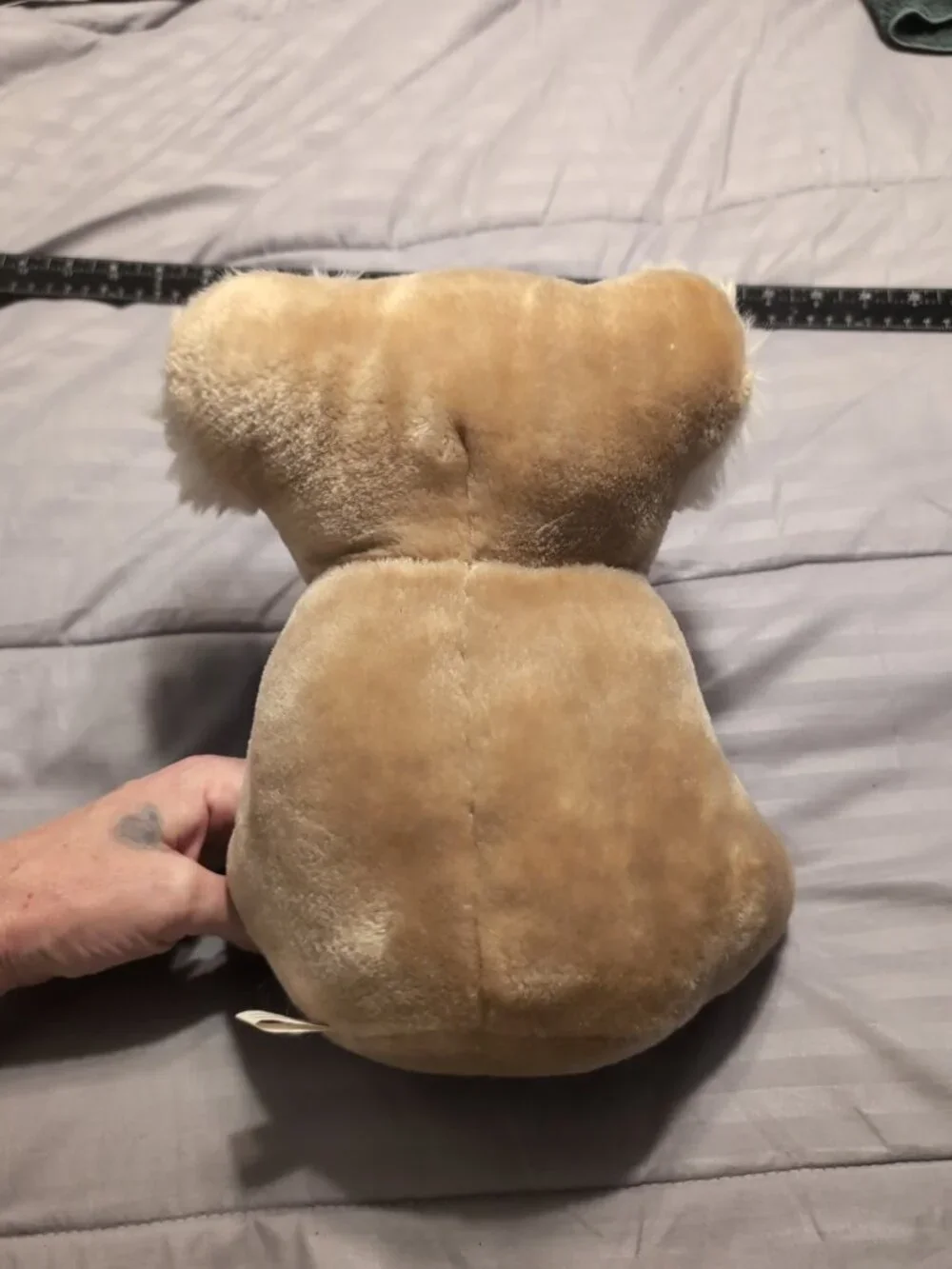 Suntoy this vintage